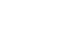 Apis Logo